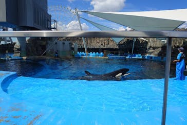 名古屋港水族館に投稿された画像（2025/7/19）