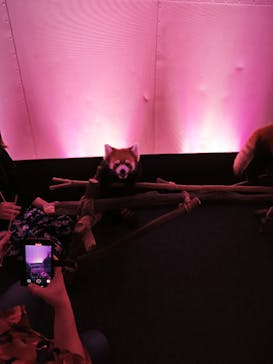 横浜・八景島シーパラダイスに投稿された画像（2025/7/19）