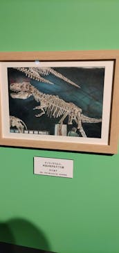 プレバト才能アリ展に投稿された画像（2025/7/19）