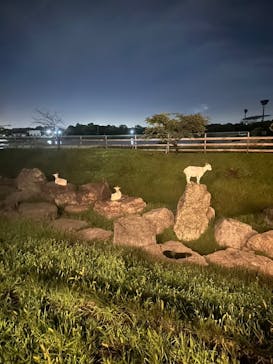 熊谷天然温泉　花湯スパリゾートに投稿された画像（2025/7/19）