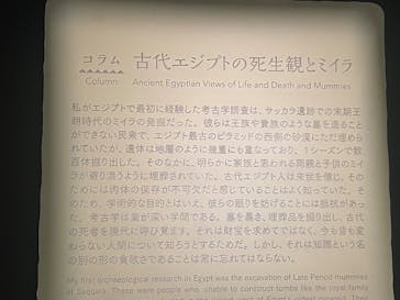 MYSTERY OF TUTANKHAMEN 体感型古代エジプト展に投稿された画像（2025/7/19）