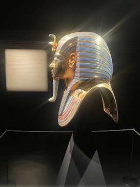 MYSTERY OF TUTANKHAMEN 体感型古代エジプト展に投稿された画像（2025/7/19）
