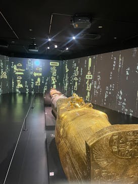 MYSTERY OF TUTANKHAMEN 体感型古代エジプト展に投稿された画像（2025/7/19）