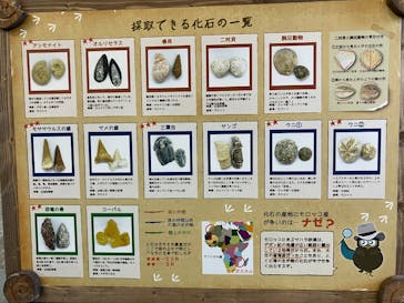 滋賀農業公園ブルーメの丘に投稿された画像（2025/7/19）