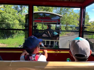 滋賀農業公園ブルーメの丘に投稿された画像（2025/7/19）