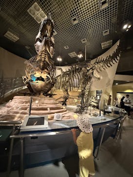 国立科学博物館に投稿された画像（2025/7/19）