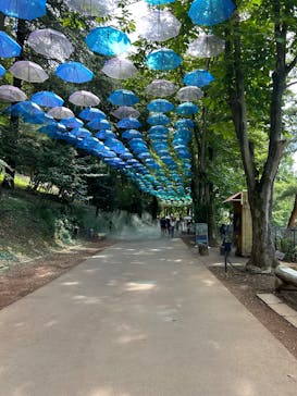 ムーミンバレーパークに投稿された画像（2025/7/19）