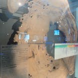 国立科学博物館に投稿された画像（2025/7/19）