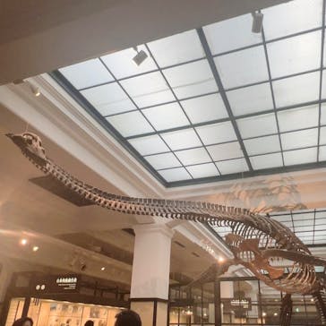 国立科学博物館に投稿された画像（2025/7/19）