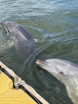 日間賀島ドルフィンビーチに投稿された画像（2025/7/19）