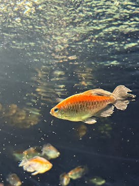 サンシャイン水族館に投稿された画像（2025/7/19）