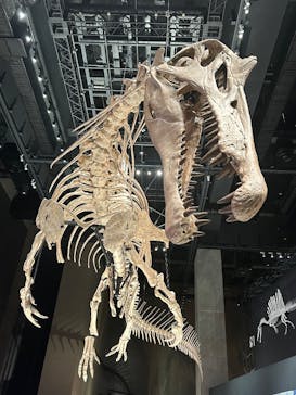 福井県立恐竜博物館に投稿された画像（2025/7/19）