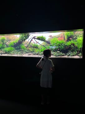 AOAO SAPPOROに投稿された画像（2025/7/19）