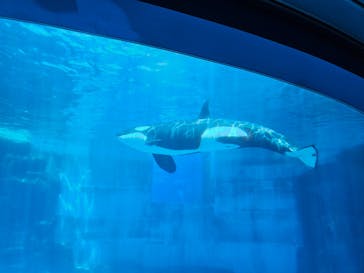 名古屋港水族館に投稿された画像（2025/7/19）