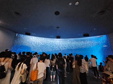 名古屋港水族館に投稿された画像（2025/7/19）