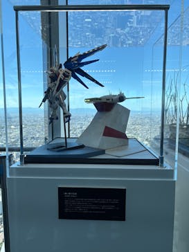 ハルカス300(展望台)に投稿された画像（2025/7/19）