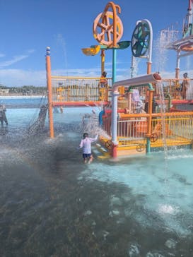 蓮沼ウォーターガーデンに投稿された画像（2025/7/19）