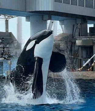 名古屋港水族館に投稿された画像（2025/7/19）