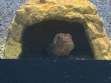 名古屋港水族館に投稿された画像（2025/7/19）