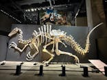 福井県立恐竜博物館に投稿された画像（2025/7/19）