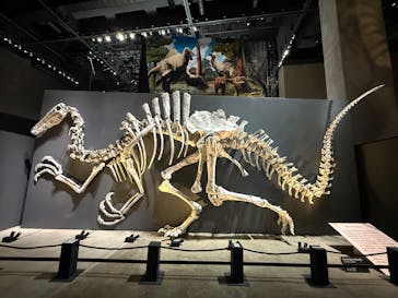 福井県立恐竜博物館に投稿された画像（2025/7/19）