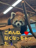 伊豆シャボテン動物公園に投稿された画像（2025/7/19）