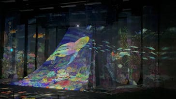 旅する光の切り絵展 ～くうそうって、まほうだよ～に投稿された画像（2025/7/19）