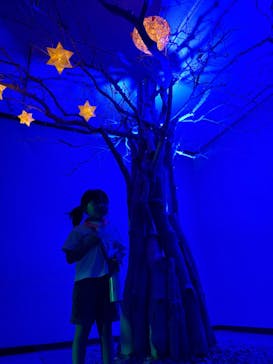 旅する光の切り絵展 ～くうそうって、まほうだよ～に投稿された画像（2025/7/19）