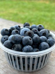 落合ブルーベリー園に投稿された画像（2025/7/19）