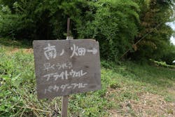 落合ブルーベリー園に投稿された画像（2025/7/19）