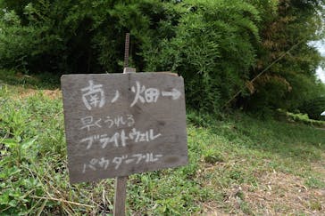 落合ブルーベリー園に投稿された画像（2025/7/19）