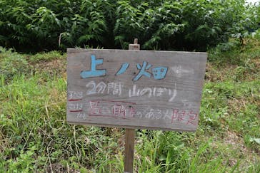 落合ブルーベリー園に投稿された画像（2025/7/19）