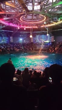 マクセル アクアパーク品川に投稿された画像（2025/7/19）