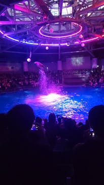 マクセル アクアパーク品川に投稿された画像（2025/7/19）