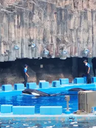 名古屋港に投稿された画像（2025/7/19）