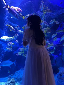 すみだ水族館に投稿された画像（2025/7/19）