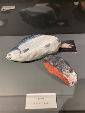 プレバト才能アリ展に投稿された画像（2025/7/19）