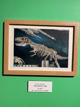 プレバト才能アリ展に投稿された画像（2025/7/19）