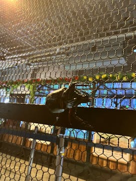 JOYPOLIS 特別イベントスペースに投稿された画像（2025/7/19）