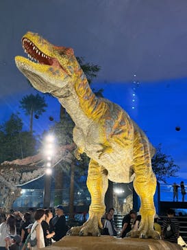 福井県立恐竜博物館に投稿された画像（2025/7/19）