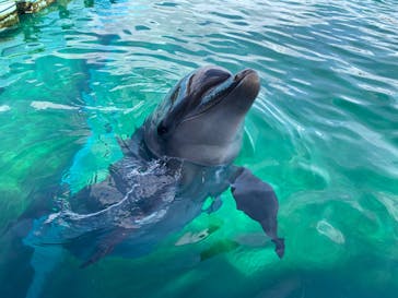 横浜・八景島シーパラダイスに投稿された画像（2025/7/19）
