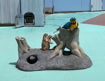 横浜・八景島シーパラダイスに投稿された画像（2025/7/19）