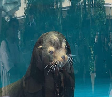 サンシャイン水族館に投稿された画像（2025/7/19）