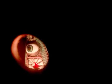 動き出す妖怪展 NAGOYA 〜Imagination of Japan〜に投稿された画像（2025/7/19）