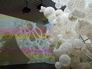 森美術館に投稿された画像（2025/7/19）