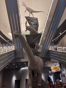 福井県立恐竜博物館に投稿された画像（2025/7/19）