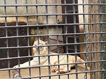 宇都宮動物園に投稿された画像（2025/7/19）