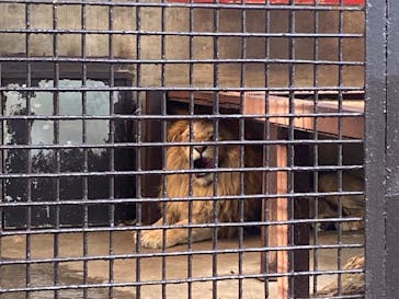宇都宮動物園に投稿された画像（2025/7/19）
