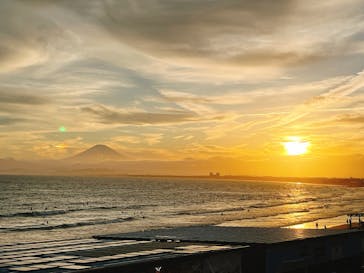 新江ノ島水族館に投稿された画像（2025/7/19）