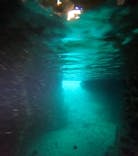 武藤潜水に投稿された画像（2025/7/20）